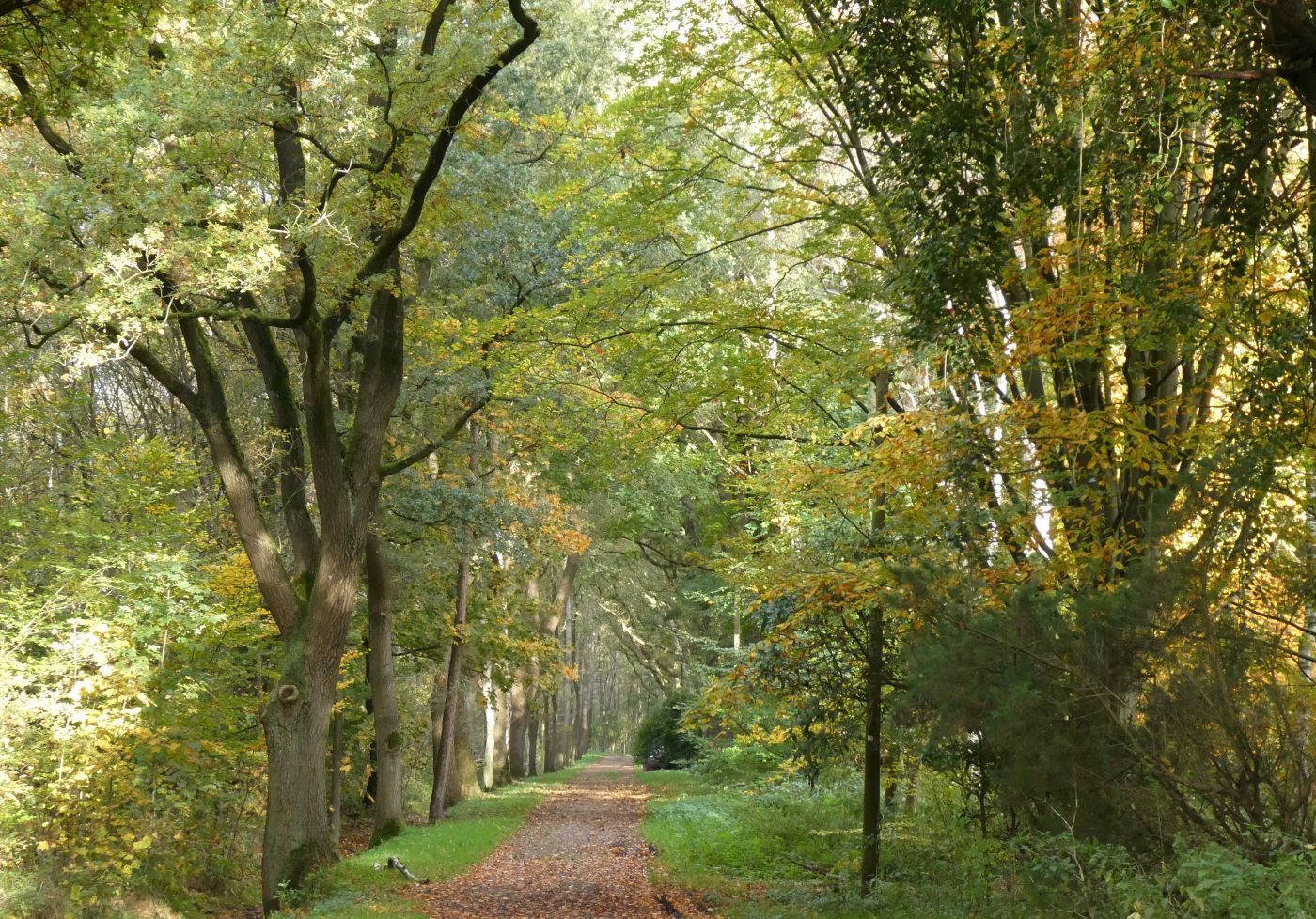 Bremerhaven-Surheide - Ahnthammsmoor/Düllhamm